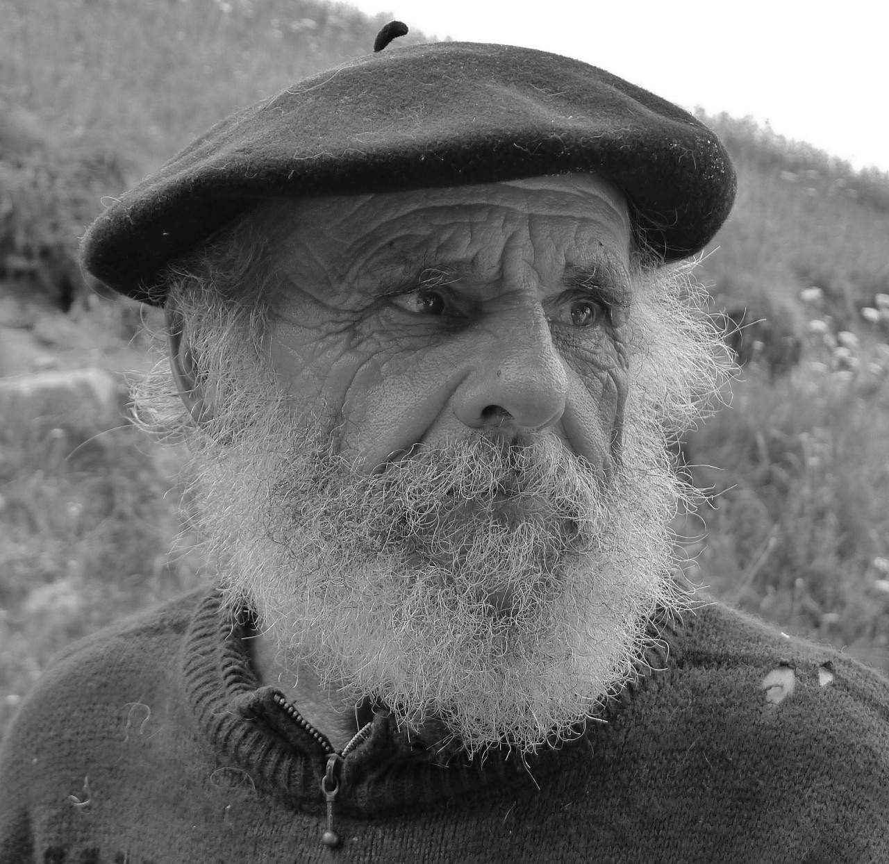Le berger de Campan