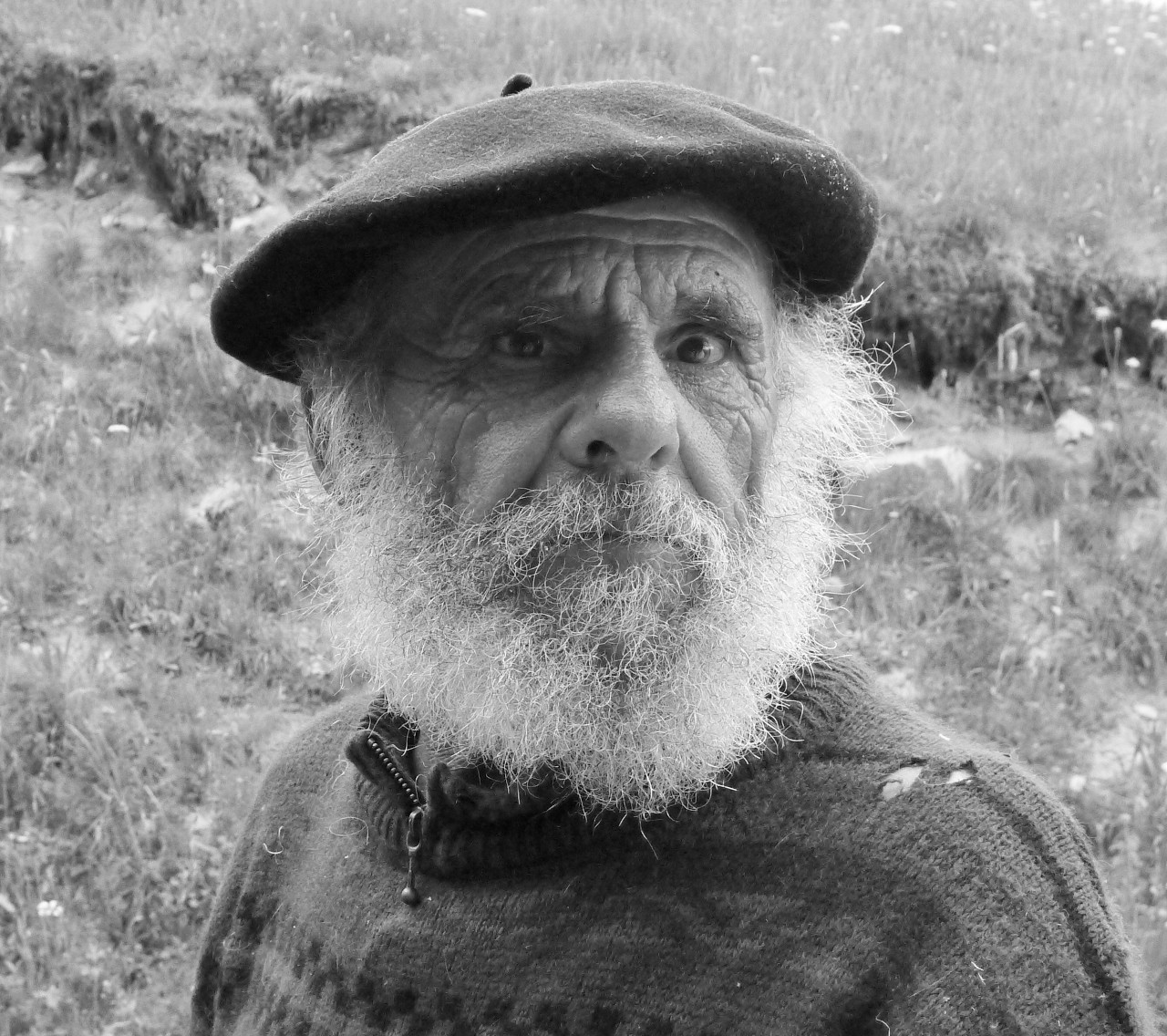 Le berger de Campan