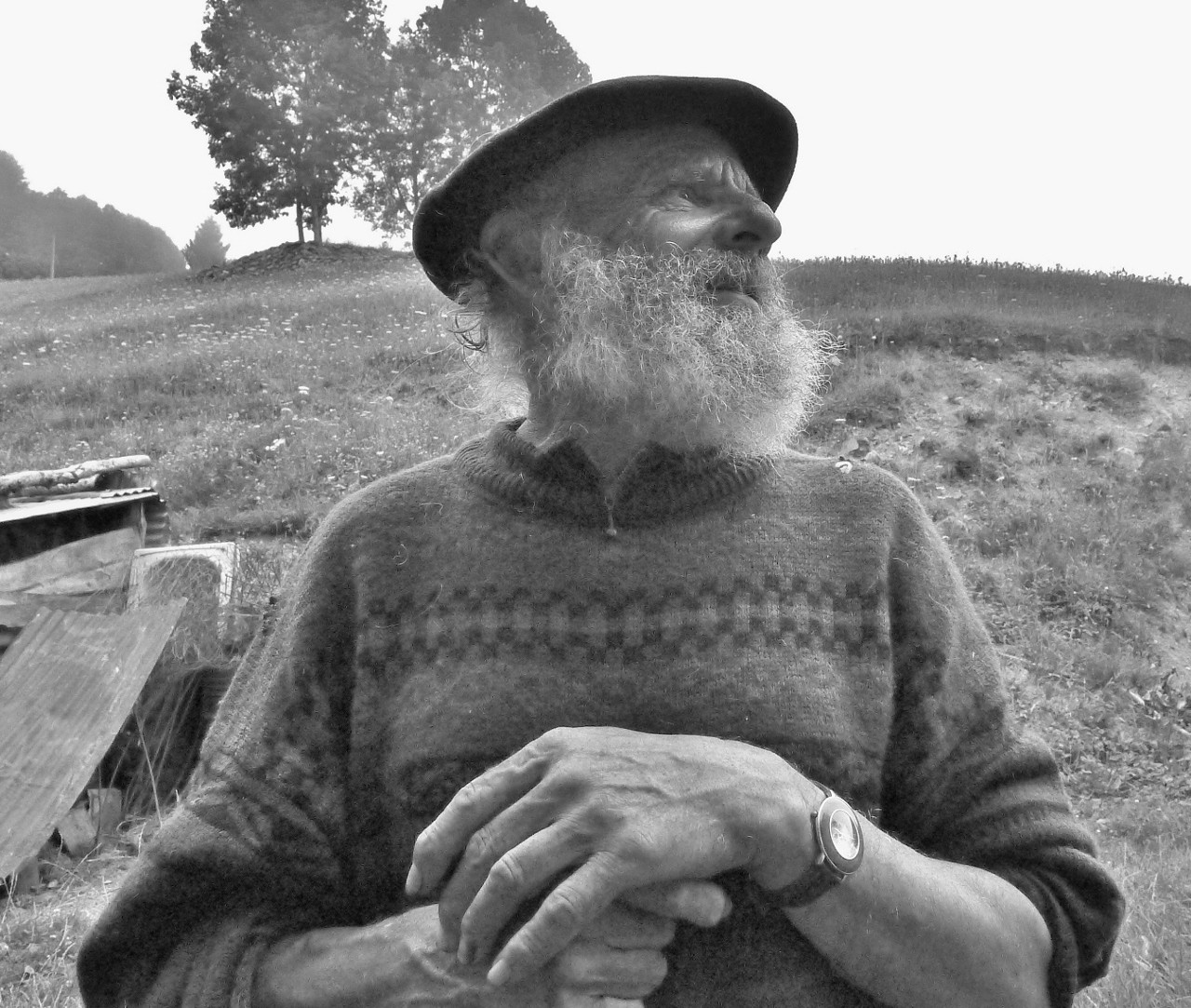 Le berger de Campan